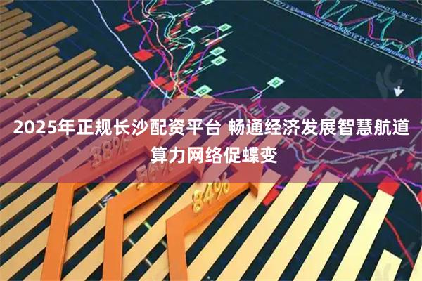 2025年正规长沙配资平台 畅通经济发展智慧航道 算力网络促蝶变