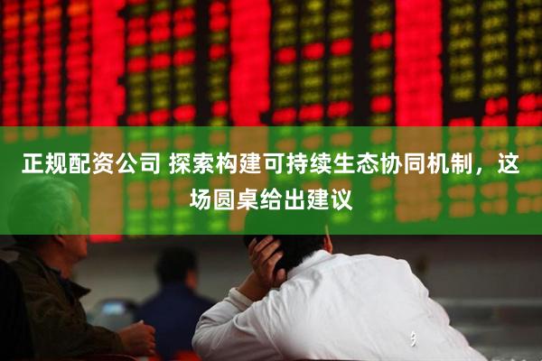 正规配资公司 探索构建可持续生态协同机制，这场圆桌给出建议
