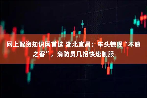 网上配资知识网首选 湖北宜昌：车头惊现“不速之客”，消防员几招快速制服